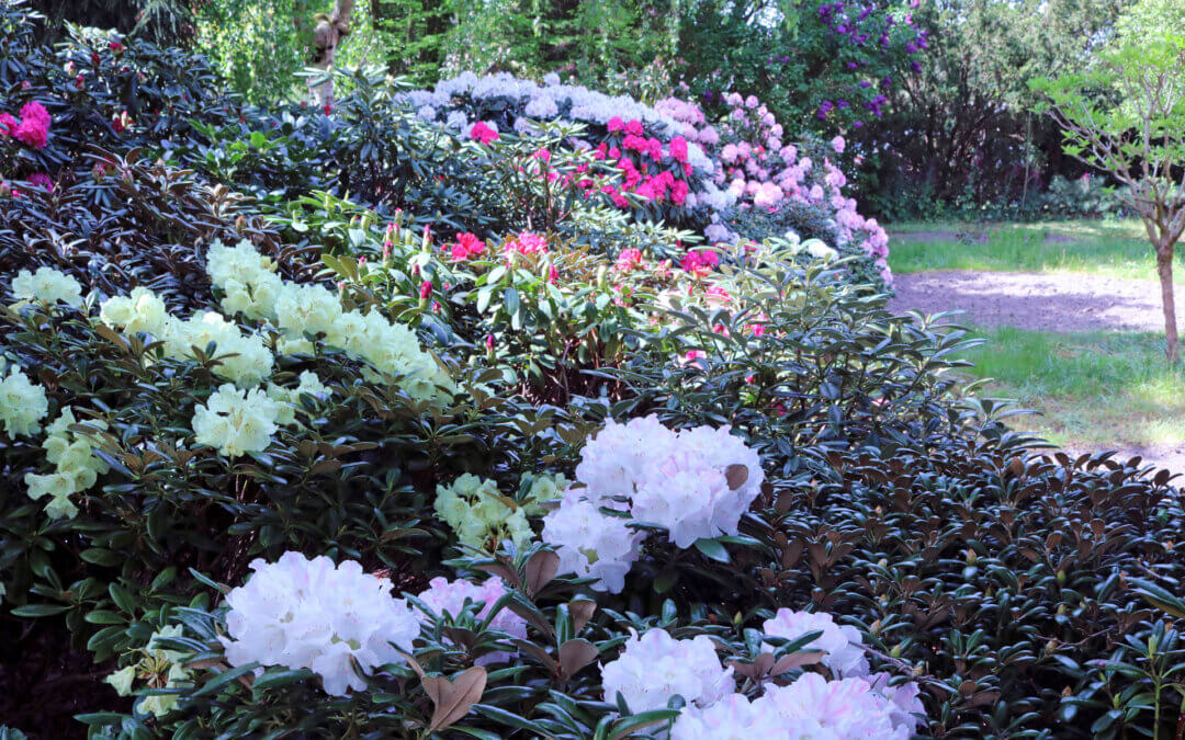 Tour 12: Der Osten – Vom singenden Fischer und einem Boston-Tiegel