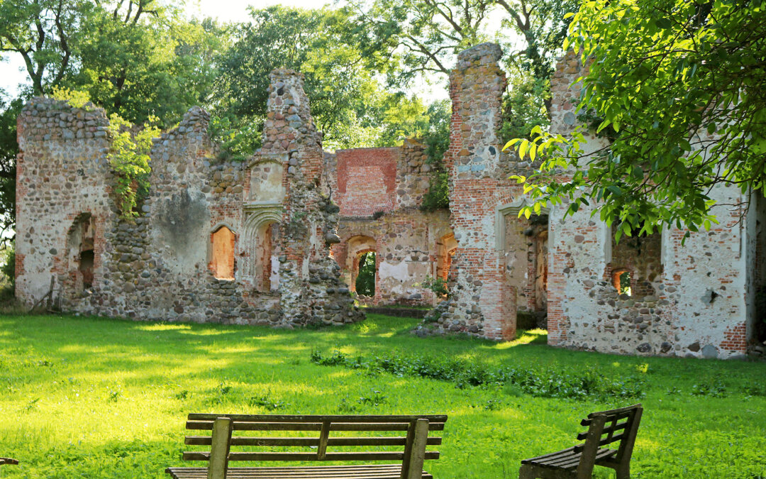 Tour 8: Der Süden – Baltic Bitter und Kuscheltiere in Öl