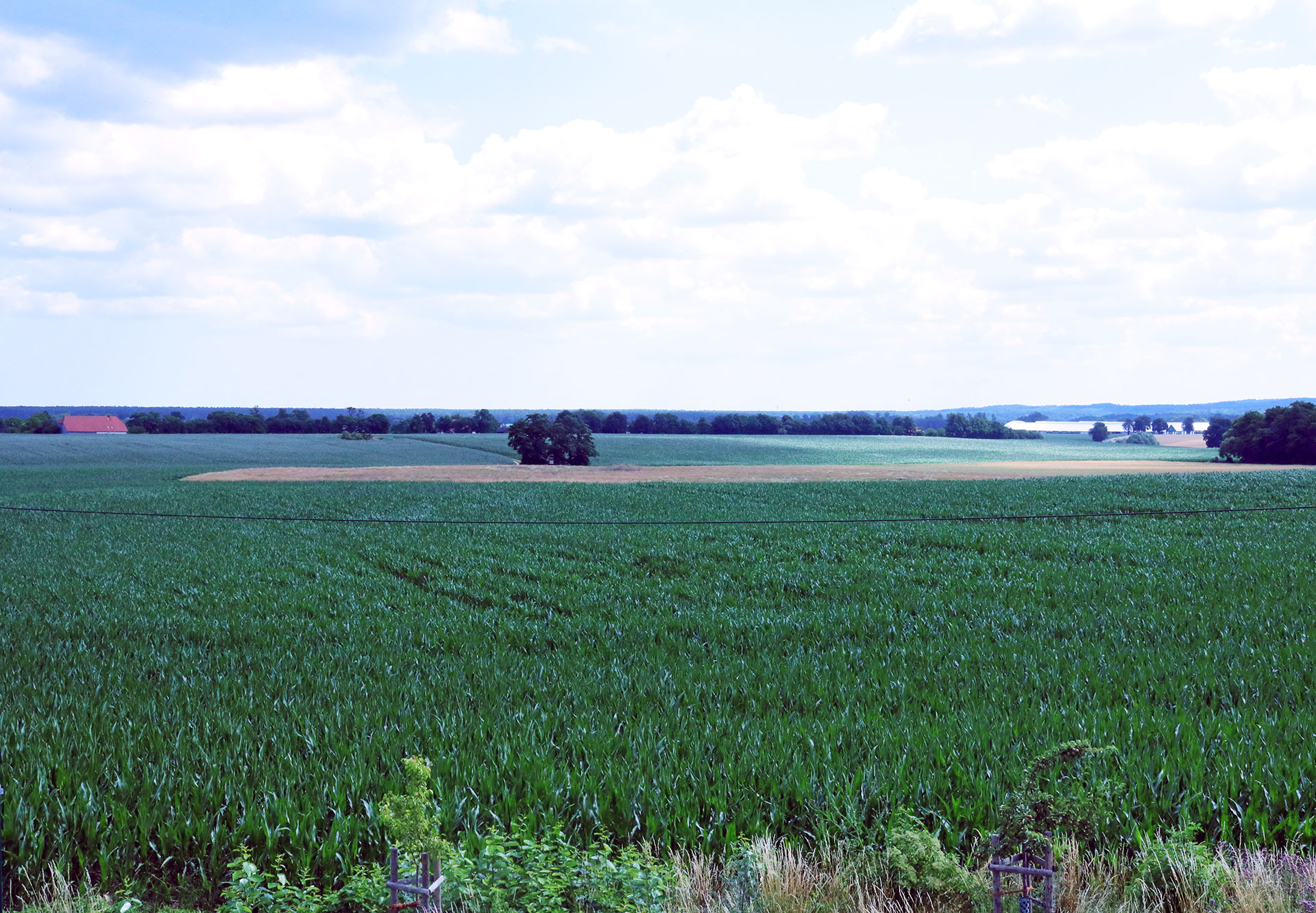 Gehren