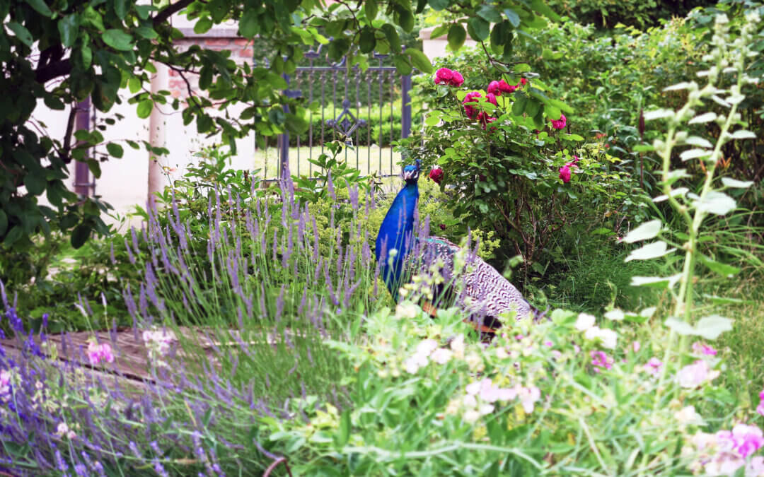 Tour 1: Der Nordwesten – PeeneRei – Alles fließt 